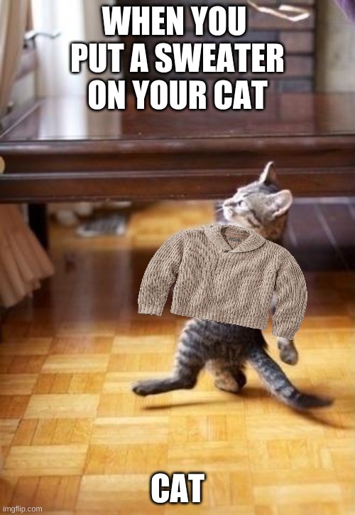 Cool Cat Stroll | WHEN YOU 
PUT A SWEATER
ON YOUR CAT; CAT | image tagged in memes,cool cat stroll | made w/ Imgflip meme maker