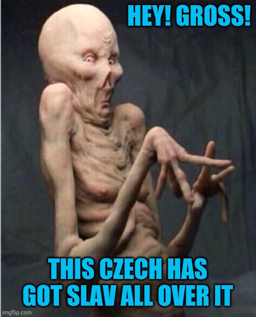 Grossed Out Alien | HEY! GROSS! THIS CZECH HAS GOT SLAV ALL OVER IT | image tagged in grossed out alien | made w/ Imgflip meme maker