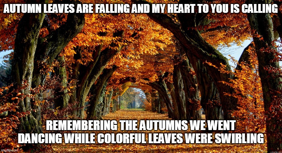 Autumn Memories | AUTUMN LEAVES ARE FALLING AND MY HEART TO YOU IS CALLING; REMEMBERING THE AUTUMNS WE WENT DANCING WHILE COLORFUL LEAVES WERE SWIRLING | image tagged in autumn,autumn leavies,colorful leaves | made w/ Imgflip meme maker