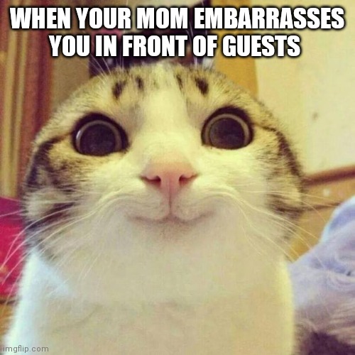 Smiling Cat Meme | WHEN YOUR MOM EMBARRASSES YOU IN FRONT OF GUESTS | image tagged in memes,smiling cat | made w/ Imgflip meme maker
