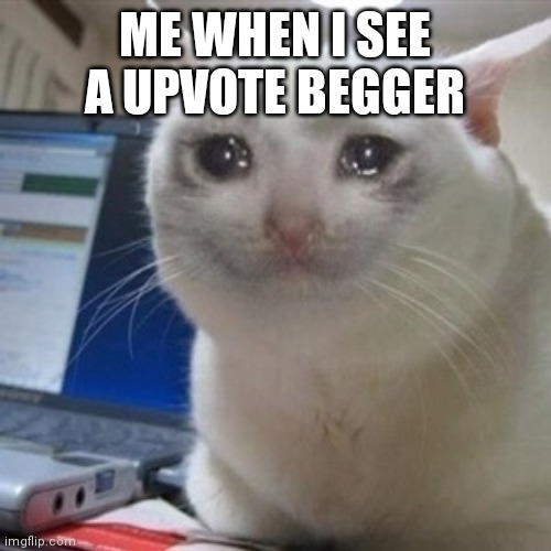 Crying cat | ME WHEN I SEE A UPVOTE BEGGER | image tagged in crying cat | made w/ Imgflip meme maker