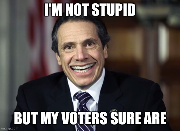 Andrew Cuomo | I’M NOT STUPID BUT MY VOTERS SURE ARE | image tagged in andrew cuomo | made w/ Imgflip meme maker