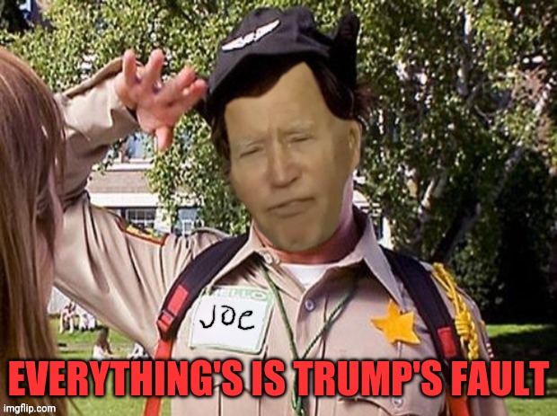 Doofy Joe Biden | EVERYTHING'S IS TRUMP'S FAULT | image tagged in doofy joe biden | made w/ Imgflip meme maker