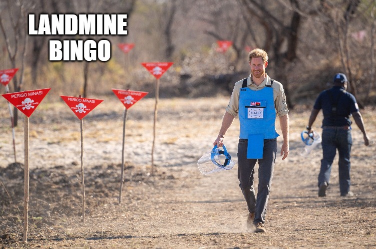 Landmine bingo | LANDMINE 
BINGO | image tagged in dirty meme week | made w/ Imgflip meme maker