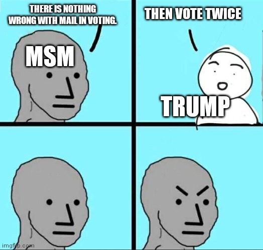 Vote twice |  THERE IS NOTHING WRONG WITH MAIL IN VOTING. THEN VOTE TWICE; MSM; TRUMP | image tagged in npc meme,donald trump,potus,election 2020 | made w/ Imgflip meme maker