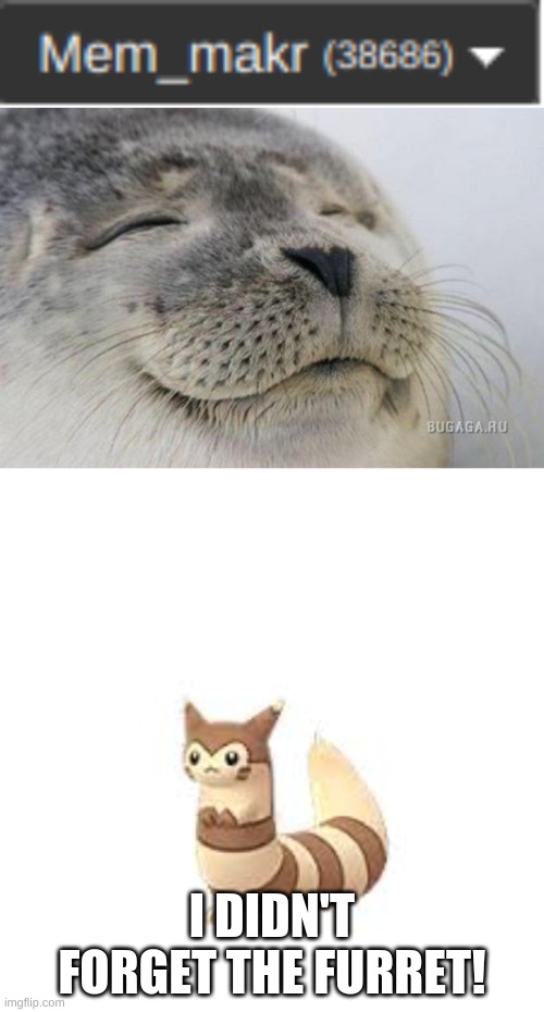 this meme is sponsored by furret | I DIDN'T FORGET THE FURRET! | image tagged in happy seal,furret | made w/ Imgflip meme maker