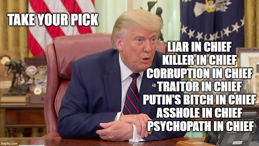 Trump is Lying While Americans are Dying | TAKE YOUR PICK; LIAR IN CHIEF 
KILLER IN CHIEF 
CORRUPTION IN CHIEF 
TRAITOR IN CHIEF 
PUTIN'S BITCH IN CHIEF 
ASSHOLE IN CHIEF 
PSYCHOPATH IN CHIEF | image tagged in liar,killer,corrupt,traitor,asshole,psychopath | made w/ Imgflip meme maker