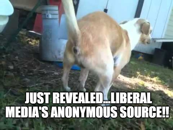 Anonymous Source | JUST REVEALED...LIBERAL MEDIA'S ANONYMOUS SOURCE!! | image tagged in liberal,anonymous source,anonymous,democrat | made w/ Imgflip meme maker