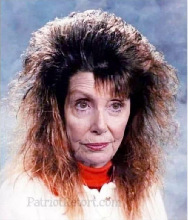 Pelosi Hair Blank Meme Template