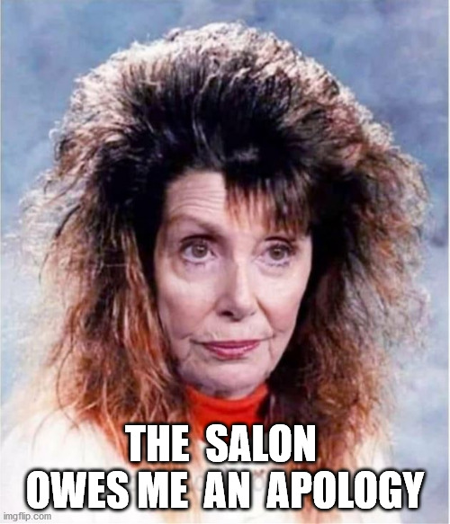 Pelosi's New Do | THE  SALON  OWES ME  AN  APOLOGY | image tagged in pelosi hair,pelosi,salon,hair,mask,face mask | made w/ Imgflip meme maker