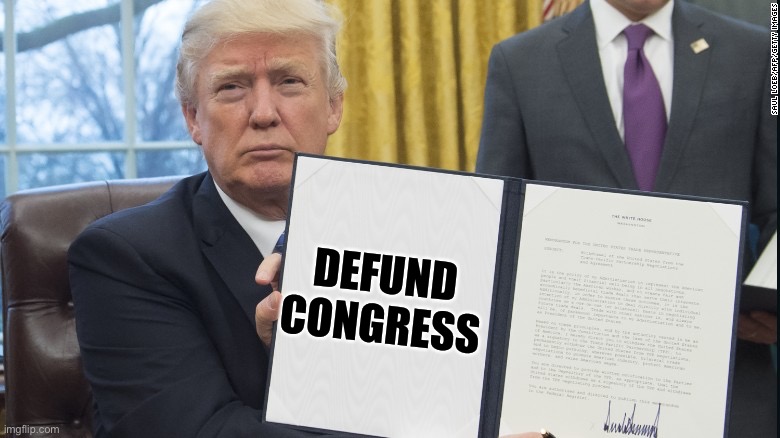 Trump Executive Orders | DEFUND
CONGRESS | image tagged in trump executive orders | made w/ Imgflip meme maker