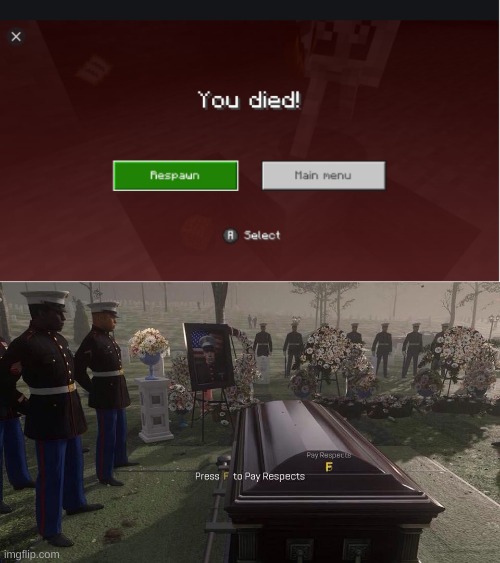 you died | image tagged in press f to pay respects | made w/ Imgflip meme maker