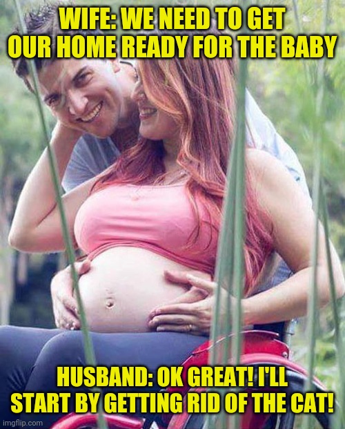 getting ready for baby | WIFE: WE NEED TO GET OUR HOME READY FOR THE BABY; HUSBAND: OK GREAT! I'LL START BY GETTING RID OF THE CAT! | image tagged in funny,meme,funny memes,cat,husband,wife | made w/ Imgflip meme maker