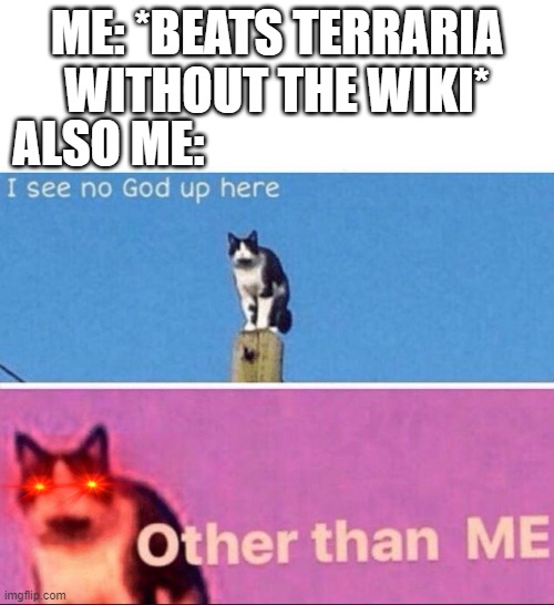 I see no god up here | ME: *BEATS TERRARIA WITHOUT THE WIKI*; ALSO ME: | image tagged in i see no god up here | made w/ Imgflip meme maker