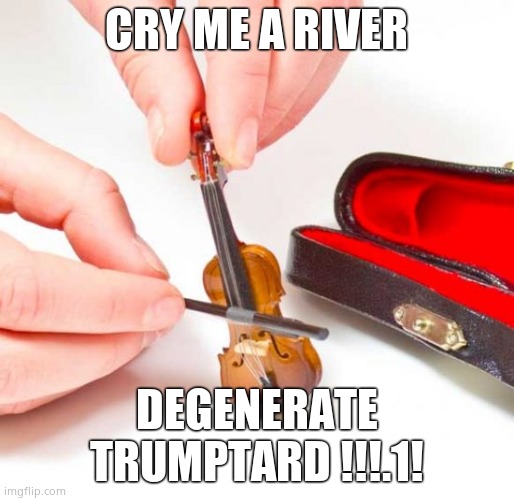 Small violin | CRY ME A RIVER DEGENERATE TRUMPTARD !!!.1! | image tagged in small violin | made w/ Imgflip meme maker