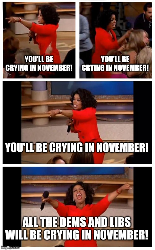 Tears in November | YOU'LL BE CRYING IN NOVEMBER! YOU'LL BE CRYING IN NOVEMBER! YOU'LL BE CRYING IN NOVEMBER! ALL THE DEMS AND LIBS WILL BE CRYING IN NOVEMBER! | image tagged in memes,funny,crying,election,oprah you get a | made w/ Imgflip meme maker