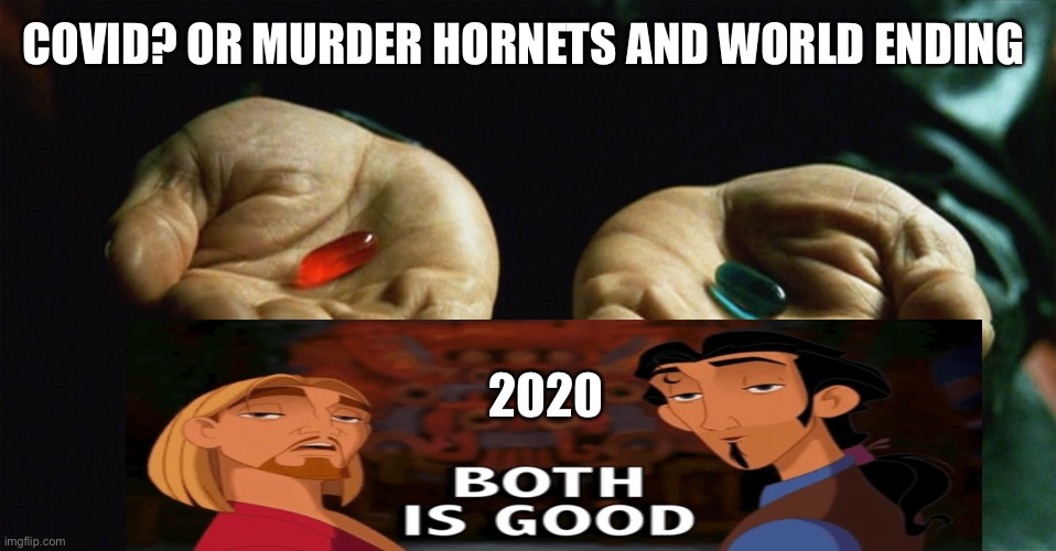 Merherher | COVID? OR MURDER HORNETS AND WORLD ENDING; 2020 | image tagged in red pill blue pill | made w/ Imgflip meme maker
