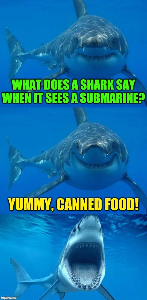 Make sure there's mayo and ketchup aboard | WHAT DOES A SHARK SAY WHEN IT SEES A SUBMARINE? YUMMY, CANNED FOOD! | image tagged in bad shark pun,memes | made w/ Imgflip meme maker