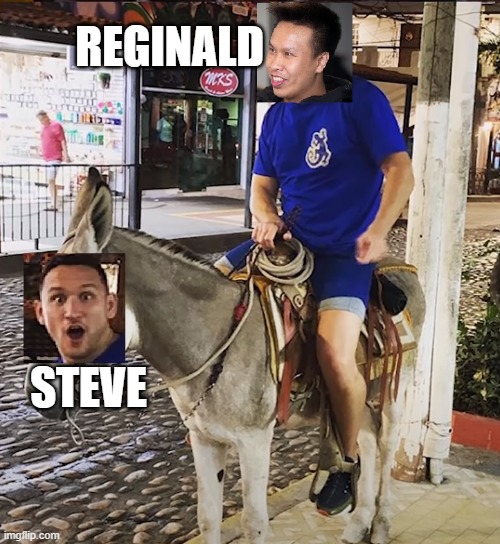 TSM Beats Team liquid | REGINALD; STEVE | image tagged in league of legends | made w/ Imgflip meme maker