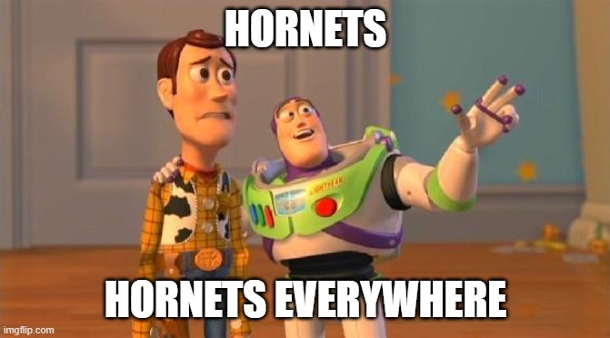 4dzsh4.jpg