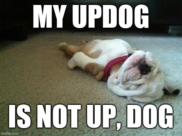 Sleeping Dog | MY UPDOG IS NOT UP, DOG | image tagged in sleeping dog | made w/ Imgflip meme maker