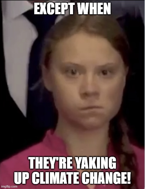 EXCEPT WHEN THEY'RE YAKING UP CLIMATE CHANGE! | image tagged in climate change girl | made w/ Imgflip meme maker