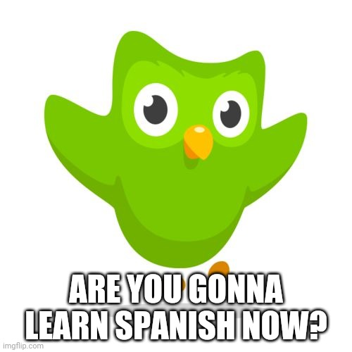 things duolingo teaches you | ARE YOU GONNA LEARN SPANISH NOW? | image tagged in things duolingo teaches you | made w/ Imgflip meme maker
