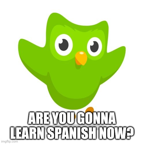 nice to meet you in spanish duolingo