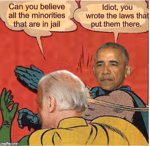 Biden wrote the ...you know, that thing | Idiot, you wrote the laws that put them there. Can you believe all the minorities that are in jail | image tagged in joe biden,obama,batman slapping robin,politics | made w/ Imgflip meme maker