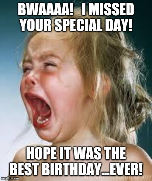 Crying Baby | BWAAAA!   I MISSED YOUR SPECIAL DAY! HOPE IT WAS THE BEST BIRTHDAY...EVER! | image tagged in crying baby | made w/ Imgflip meme maker