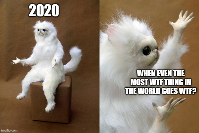 What is this? It's 2020, just move along. | 2020; WHEN EVEN THE MOST WTF THING IN THE WORLD GOES WTF? | image tagged in memes,persian cat room guardian,wtf,2020 | made w/ Imgflip meme maker
