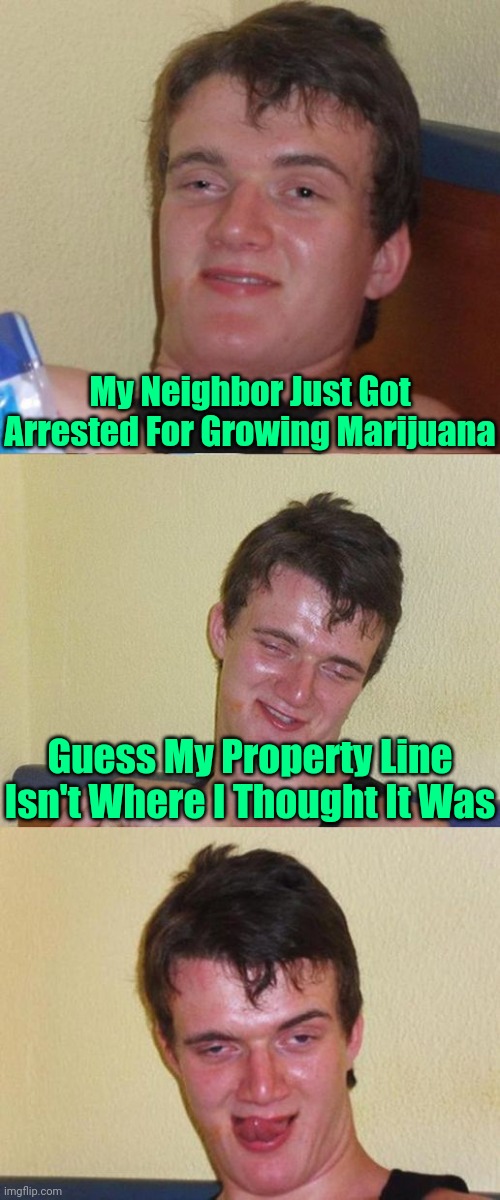Whoopsie-Daisy! |  My Neighbor Just Got Arrested For Growing Marijuana; Guess My Property Line Isn't Where I Thought It Was | image tagged in bad pun 10 guy,memes,10 guy,marijuana | made w/ Imgflip meme maker