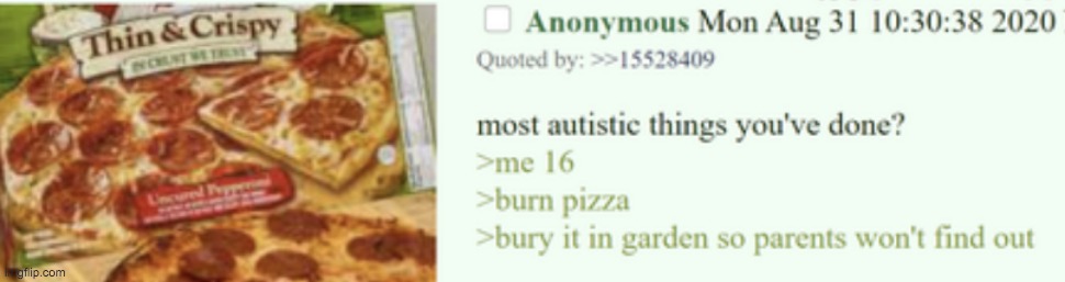 anon buries his pizza | image tagged in greentext | made w/ Imgflip meme maker