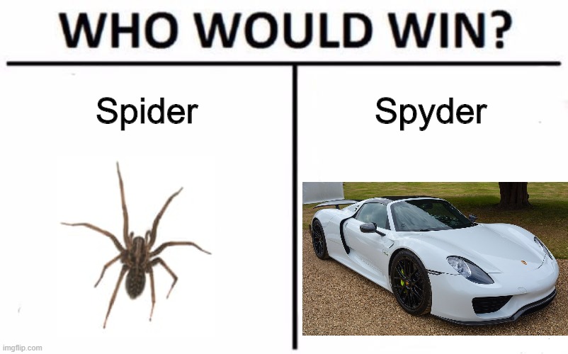 Spider Or Spyder? | Spider; Spyder | image tagged in memes,who would win | made w/ Imgflip meme maker