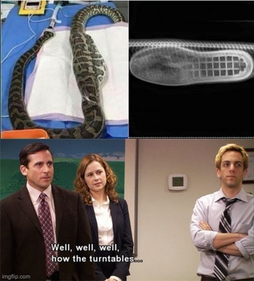 There's a boot in my snake! | image tagged in well well well how the turn tables,boot,snake | made w/ Imgflip meme maker