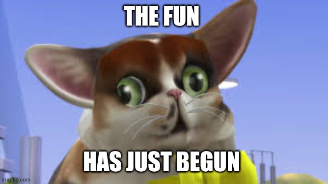 Only the Beginning | THE FUN; HAS JUST BEGUN | image tagged in spleensthecat | made w/ Imgflip meme maker