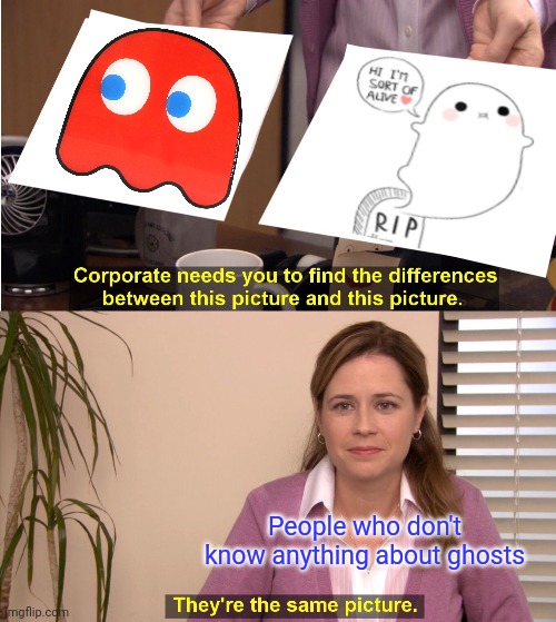 They're The Same Picture Meme | People who don't know anything about ghosts | image tagged in memes,they're the same picture | made w/ Imgflip meme maker