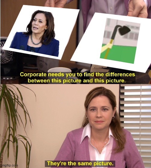 They're The Same Picture Meme | image tagged in memes,they're the same picture,kamala harris,hoes | made w/ Imgflip meme maker