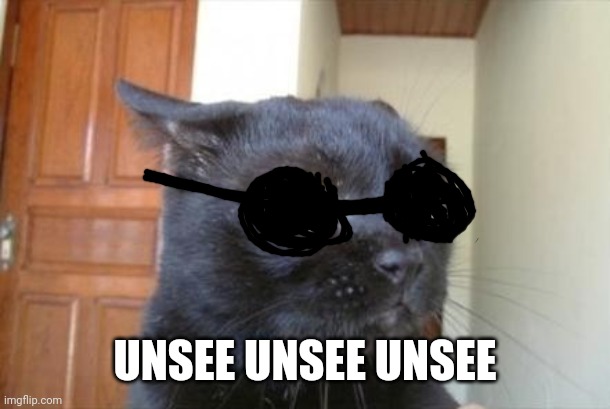 Cannot Be Unseen Cat | UNSEE UNSEE UNSEE | image tagged in cannot be unseen cat | made w/ Imgflip meme maker