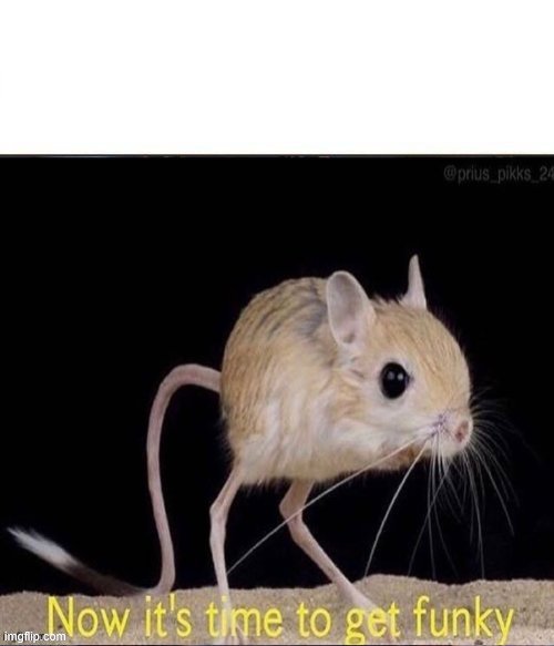added a space on top | image tagged in now its time to get funky | made w/ Imgflip meme maker