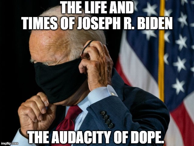 JOE BIDEN LEGENDARILY DOPEY. | THE LIFE AND TIMES OF JOSEPH R. BIDEN; THE AUDACITY OF DOPE. | image tagged in joe biden 2020,the audacity of dope | made w/ Imgflip meme maker