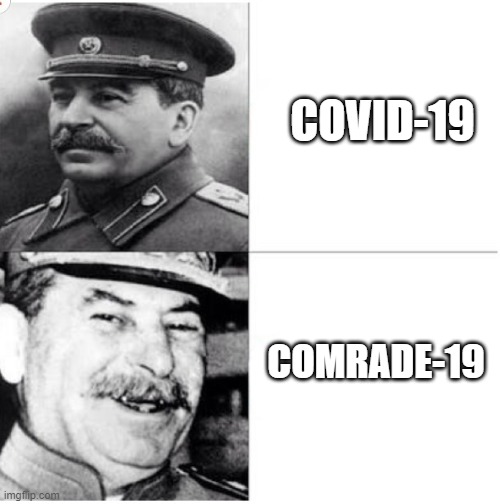 Stalin Meme | COVID-19; COMRADE-19 | image tagged in stalin meme | made w/ Imgflip meme maker