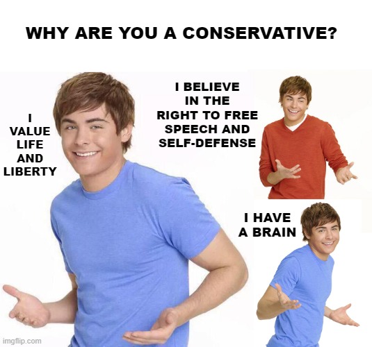 Zac Efron | I VALUE LIFE AND LIBERTY; WHY ARE YOU A CONSERVATIVE? I BELIEVE IN THE RIGHT TO FREE SPEECH AND SELF-DEFENSE; I HAVE A BRAIN | image tagged in zac efron | made w/ Imgflip meme maker