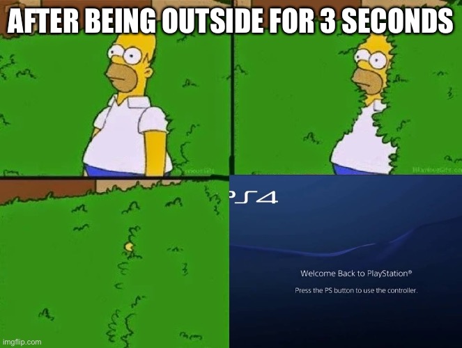 Gamers getting fresh air | AFTER BEING OUTSIDE FOR 3 SECONDS | image tagged in gaming,video games,online gaming,memes,funny memes | made w/ Imgflip meme maker