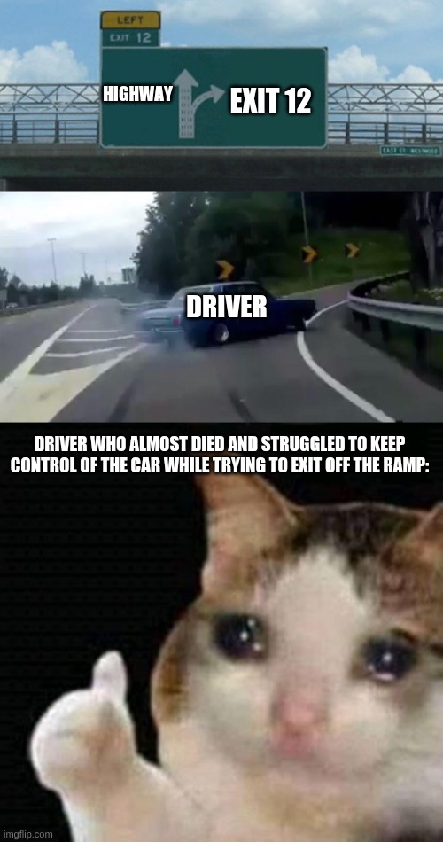 EXIT 12; HIGHWAY; DRIVER; DRIVER WHO ALMOST DIED AND STRUGGLED TO KEEP CONTROL OF THE CAR WHILE TRYING TO EXIT OFF THE RAMP: | image tagged in memes,left exit 12 off ramp,sad thumbs up cat | made w/ Imgflip meme maker