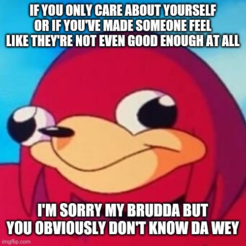 Ugandan Knuckles | IF YOU ONLY CARE ABOUT YOURSELF OR IF YOU'VE MADE SOMEONE FEEL LIKE THEY'RE NOT EVEN GOOD ENOUGH AT ALL; I'M SORRY MY BRUDDA BUT YOU OBVIOUSLY DON'T KNOW DA WEY | image tagged in ugandan knuckles,do you know da wae,so true,da wae,life,truth | made w/ Imgflip meme maker