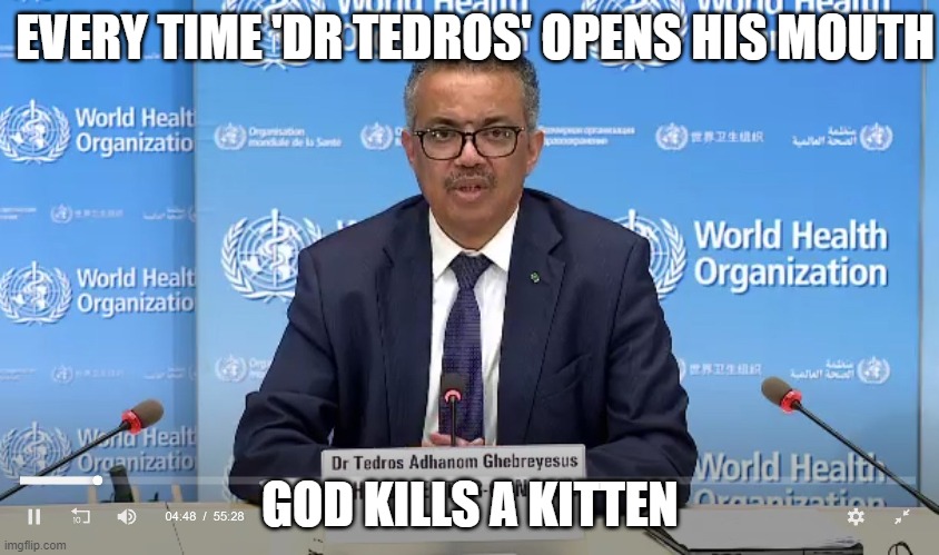 Every time 'Dr Tedros' opens his mouth, God kills a kitten. | EVERY TIME 'DR TEDROS' OPENS HIS MOUTH; GOD KILLS A KITTEN | image tagged in who director general dr tedros adhanom ghebreyesus | made w/ Imgflip meme maker