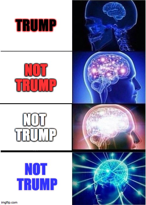 Roll call | TRUMP; NOT TRUMP; NOT 
TRUMP; NOT
 TRUMP | image tagged in memes,expanding brain,roll,call,sunday | made w/ Imgflip meme maker