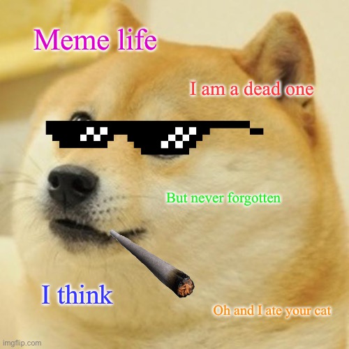 Doge Meme | Meme life; I am a dead one; But never forgotten; I think; Oh and I ate your cat | image tagged in memes,doge | made w/ Imgflip meme maker