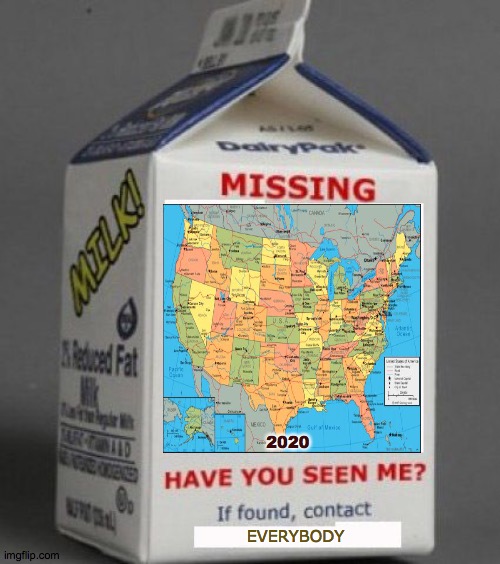 Where am i? | 2020; EVERYBODY | image tagged in milk carton,missing,america,usa,trump,funny memes | made w/ Imgflip meme maker